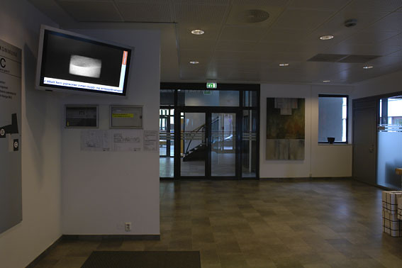 marit-justine-bytorget.jpg